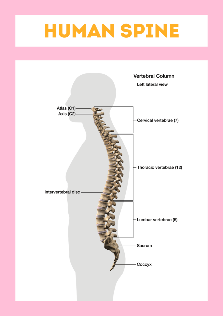 spine surgery in Bhubaneswar